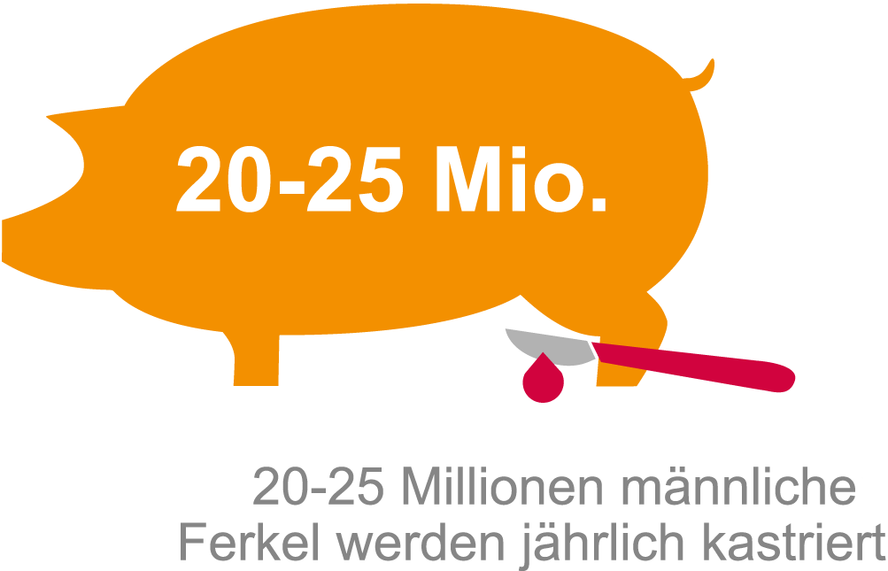 schwein-millionen-kastration